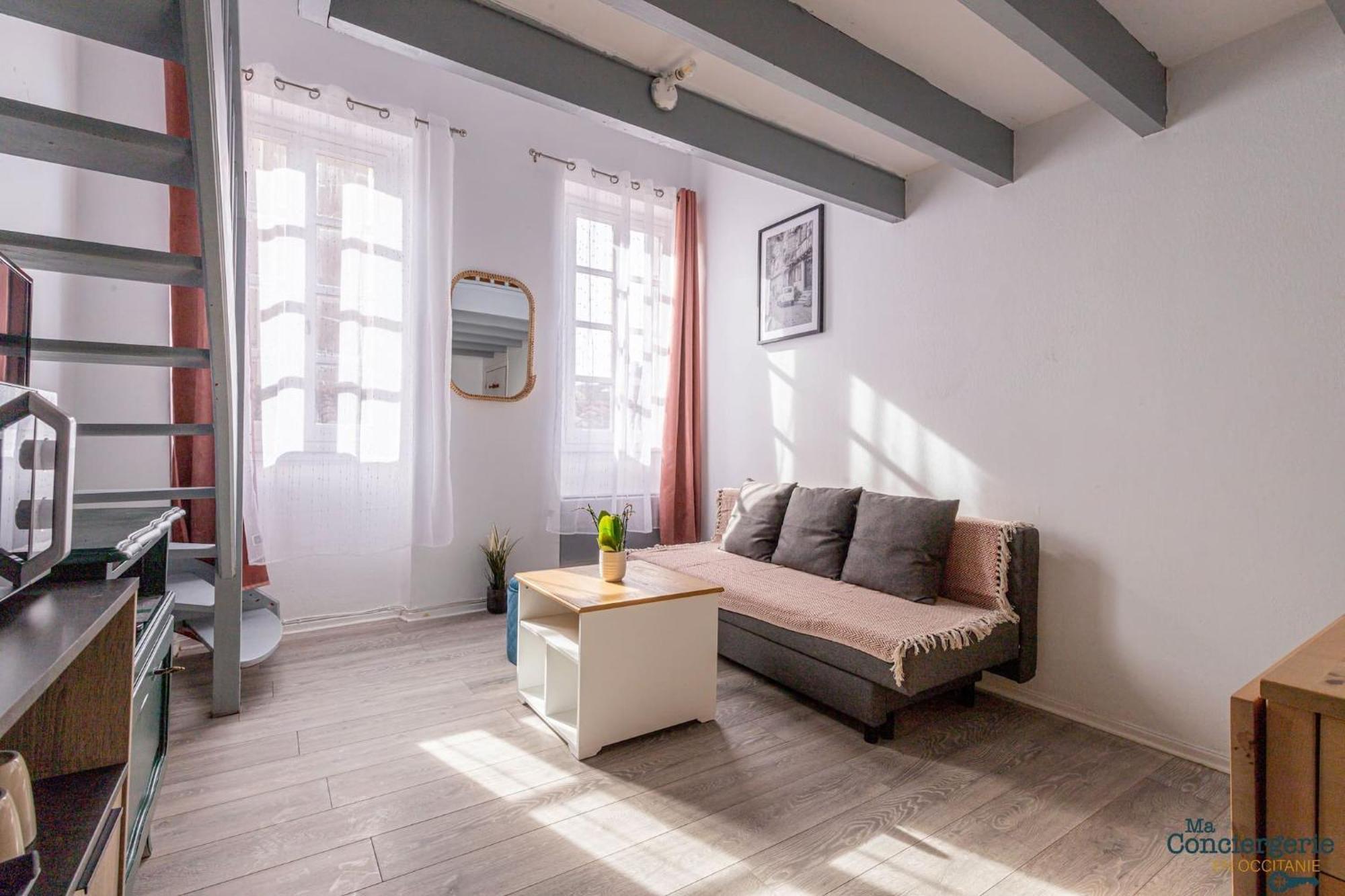 Апартаменты Duplex Champetre : Gare, Marche, Hypercentre Тулуза Экстерьер фото