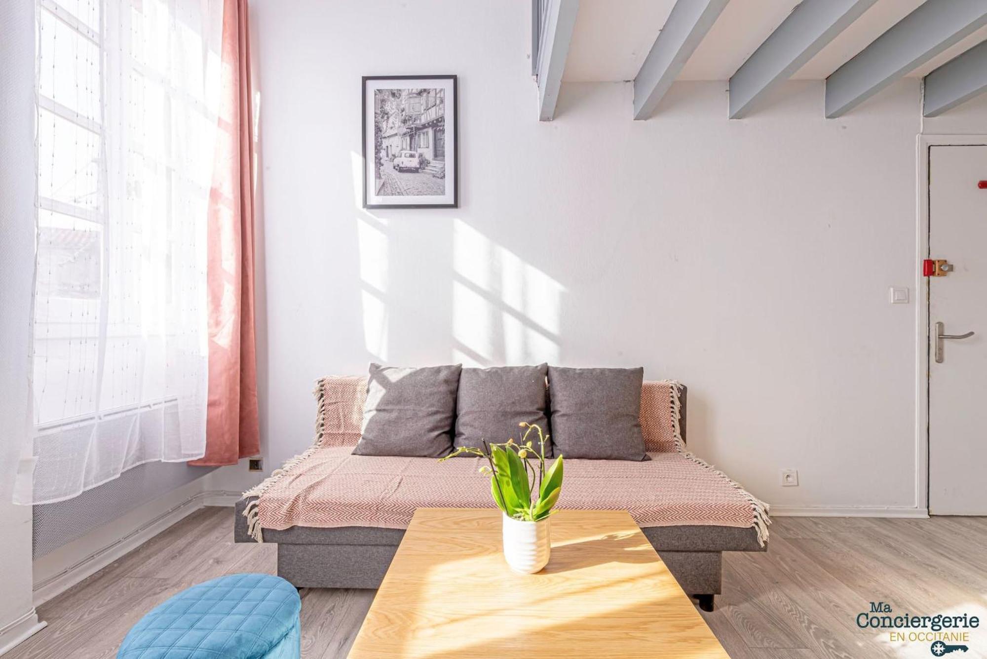 Апартаменты Duplex Champetre : Gare, Marche, Hypercentre Тулуза Экстерьер фото
