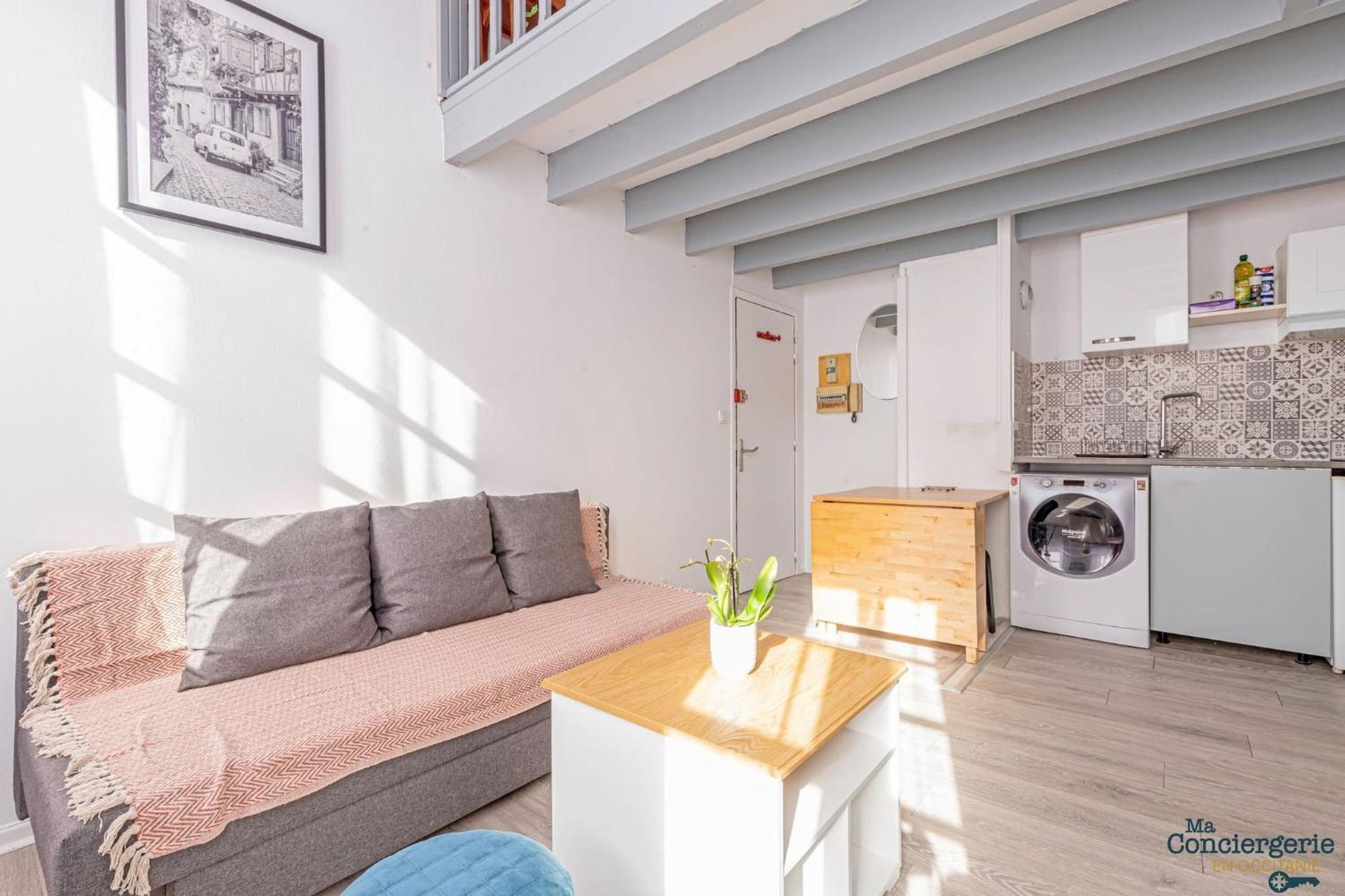 Апартаменты Duplex Champetre : Gare, Marche, Hypercentre Тулуза Экстерьер фото