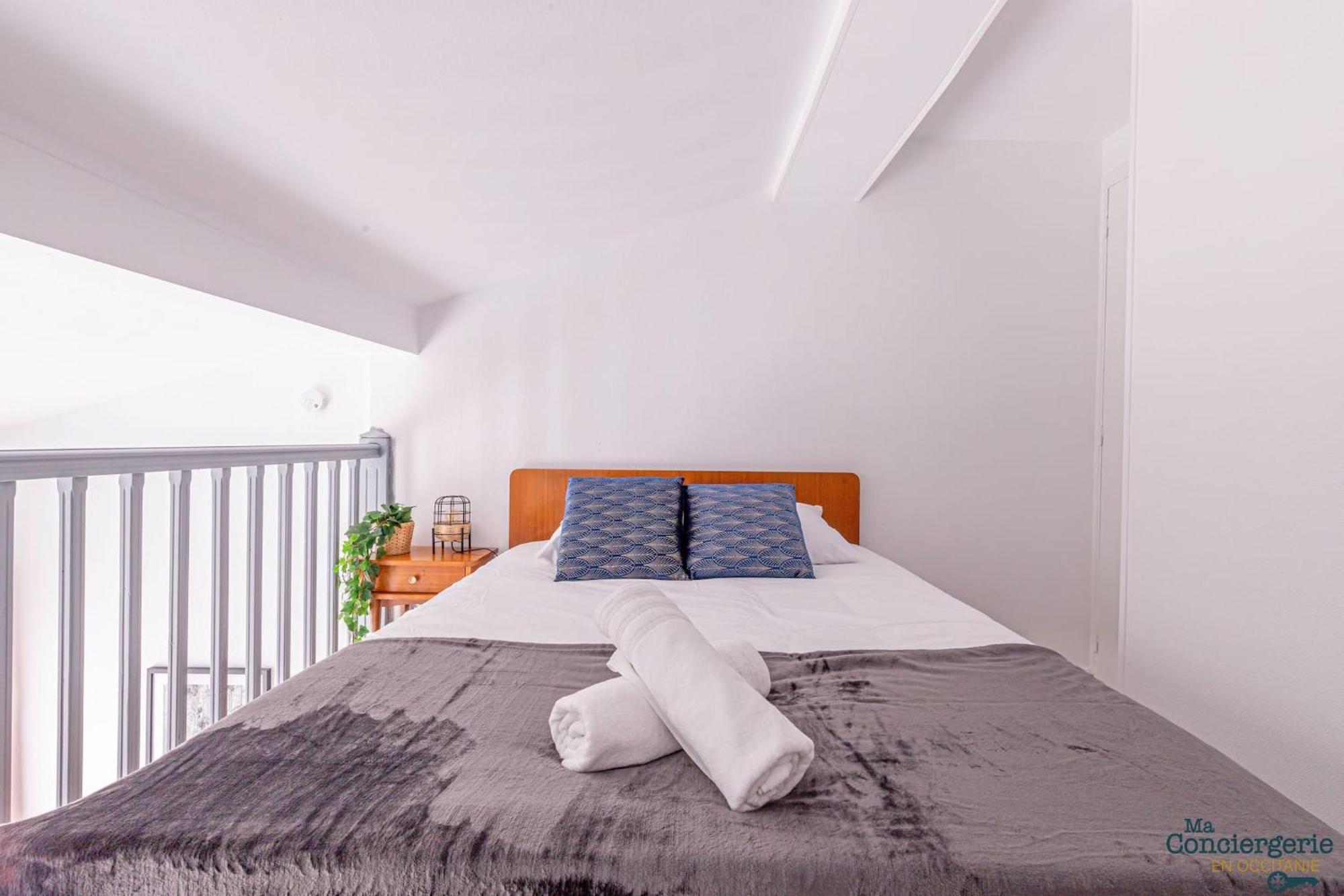 Апартаменты Duplex Champetre : Gare, Marche, Hypercentre Тулуза Экстерьер фото